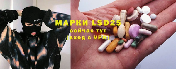 крисы Алзамай