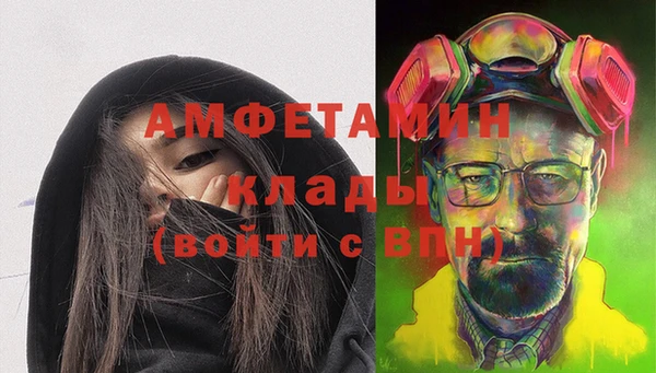 крисы Алексин