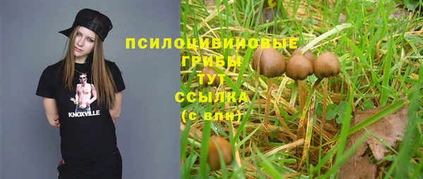 крисы Алексин