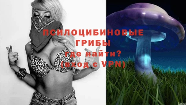 спайс Алексеевка