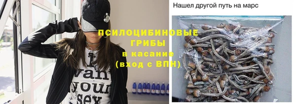 крисы Алексин